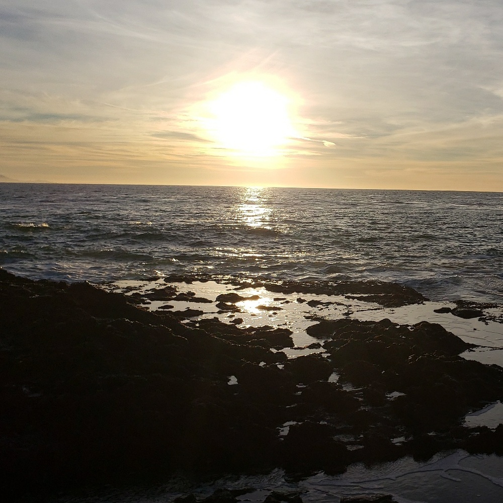 Meet your Posher, Steven